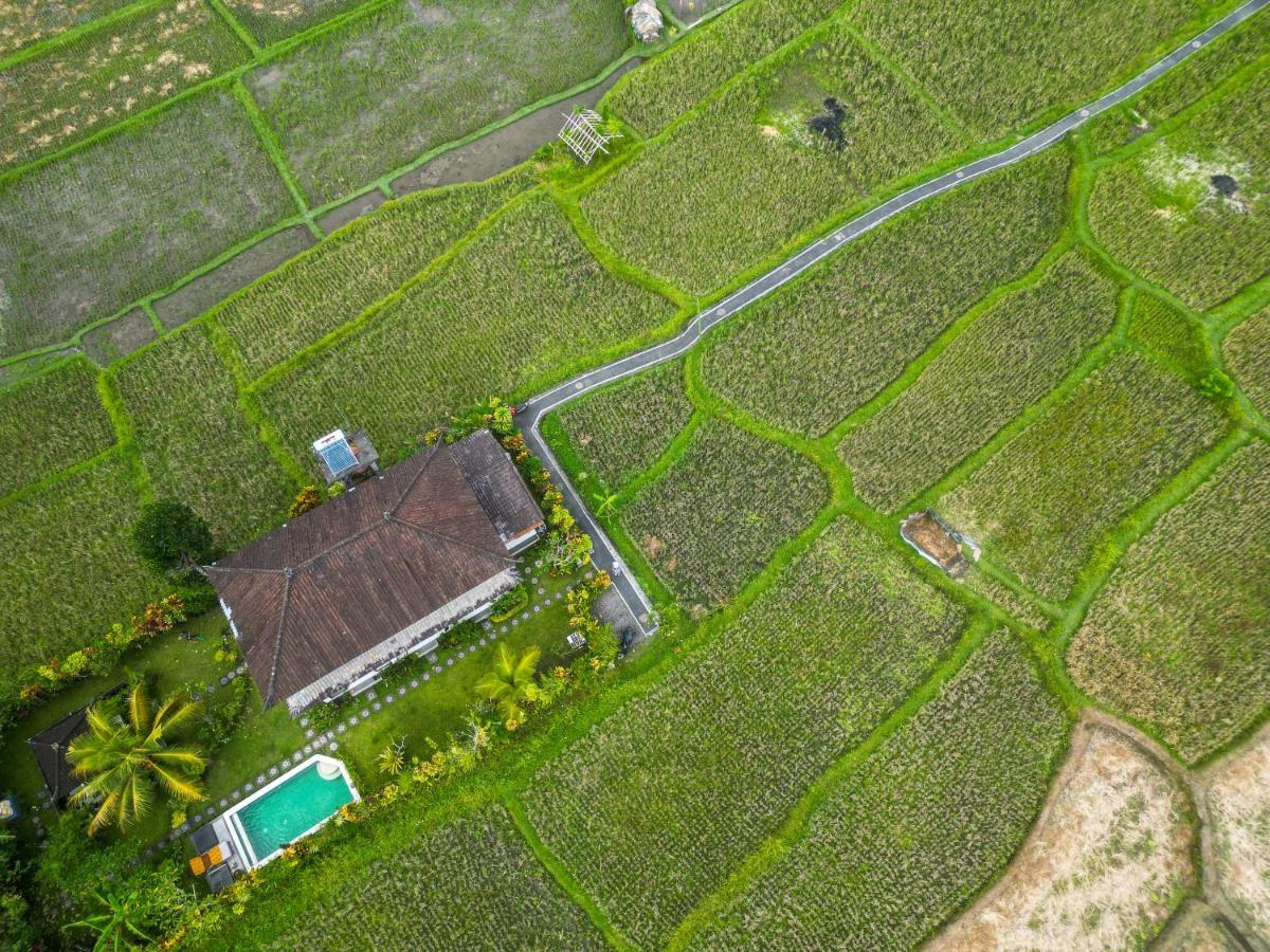 Buddha Homestay Убуд Экстерьер фото